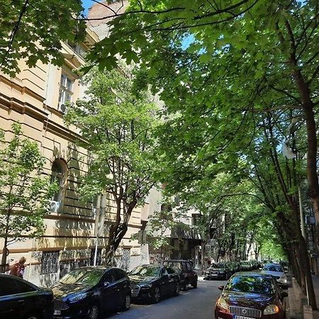 Apartment 51 - Bright, Spacious, Lux 1 Bedroom In The City Center - Stari Grad Belgrad Exterior foto